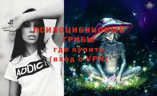 прущая мука Горно-Алтайск