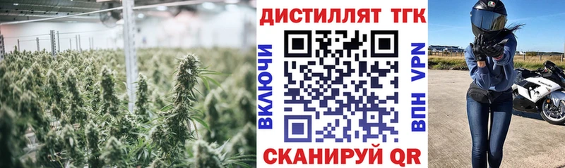 Дистиллят ТГК Wax цены Макаров